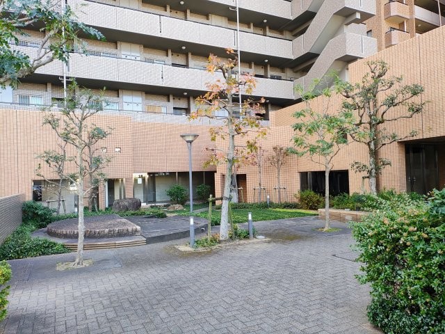 IMG_20251213_115111951_AE